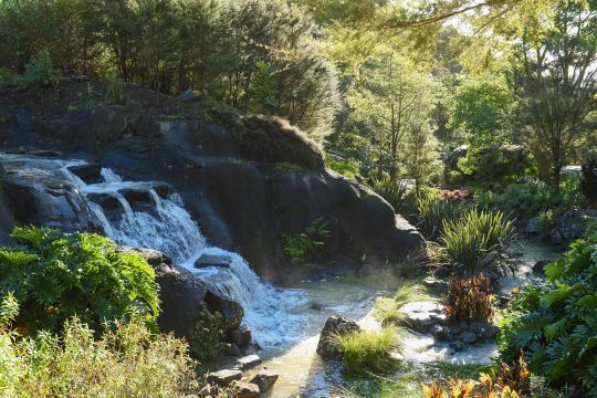 Whangarei Quarry Gardens