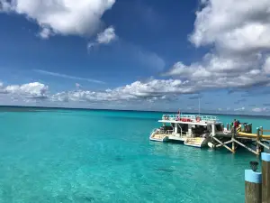 Seafari Bahamas