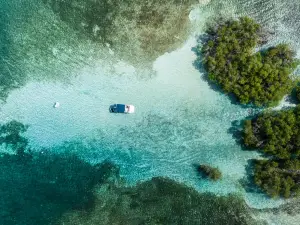 Parguera Water Sports Adventures & Bioluminescent Bay Tour Boat-Kayak-Swim