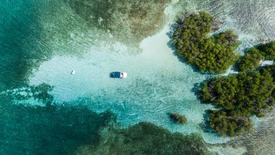 Parguera Water Sports Adventures & Bioluminescent Bay Tour Boat-Kayak-Swim