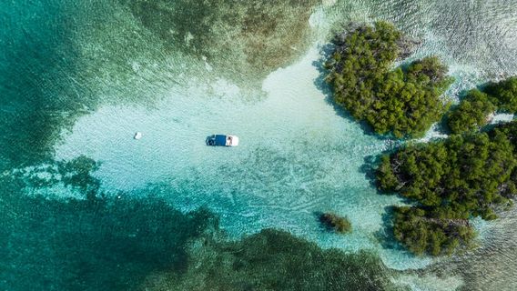 Parguera Water Sports Adventures & Bioluminescent Bay Tour Boat-Kayak-Swim