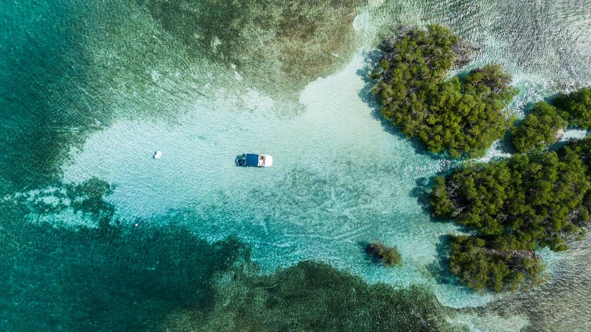 Parguera Water Sports Adventures & Bioluminescent Bay Tour Boat-Kayak-Swim