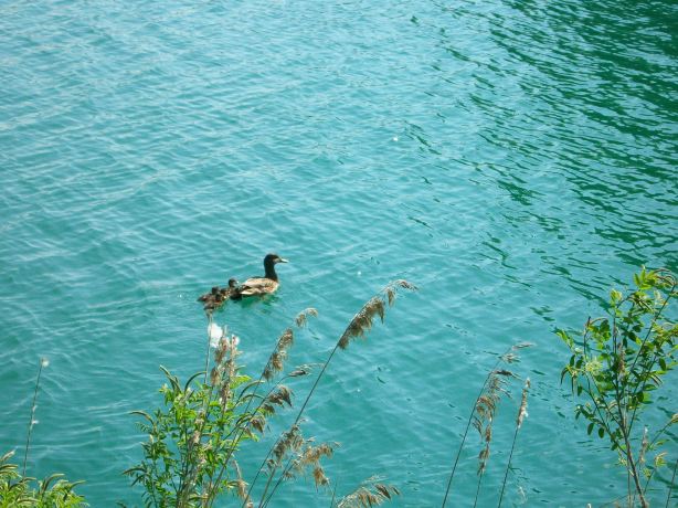 Laghi Curiel