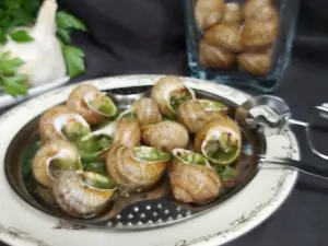 Le Jardin aux Escargots