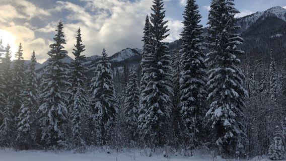 Golden Nordic Ski Club