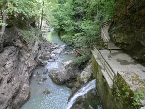 Rappenlochschlucht