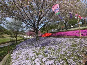 Shizuminefurusato Park