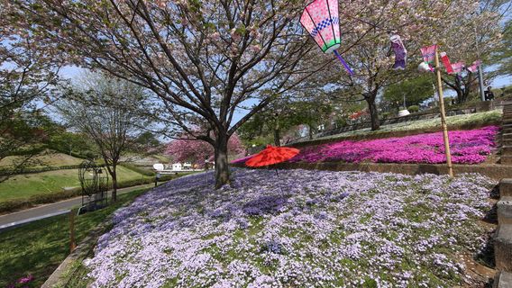 Shizuminefurusato Park