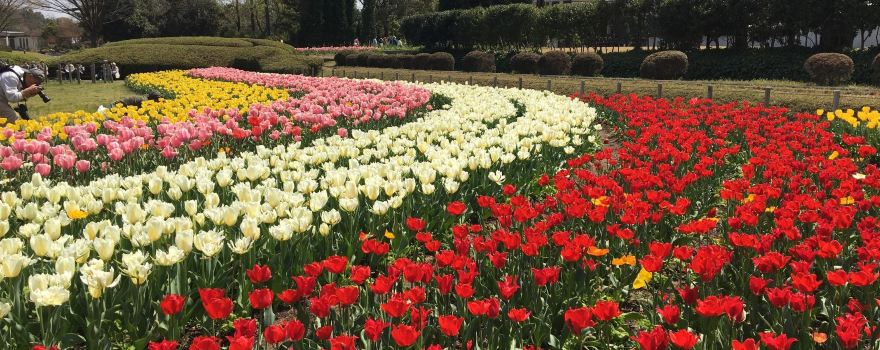 Hyogo Prefectural Flower Center