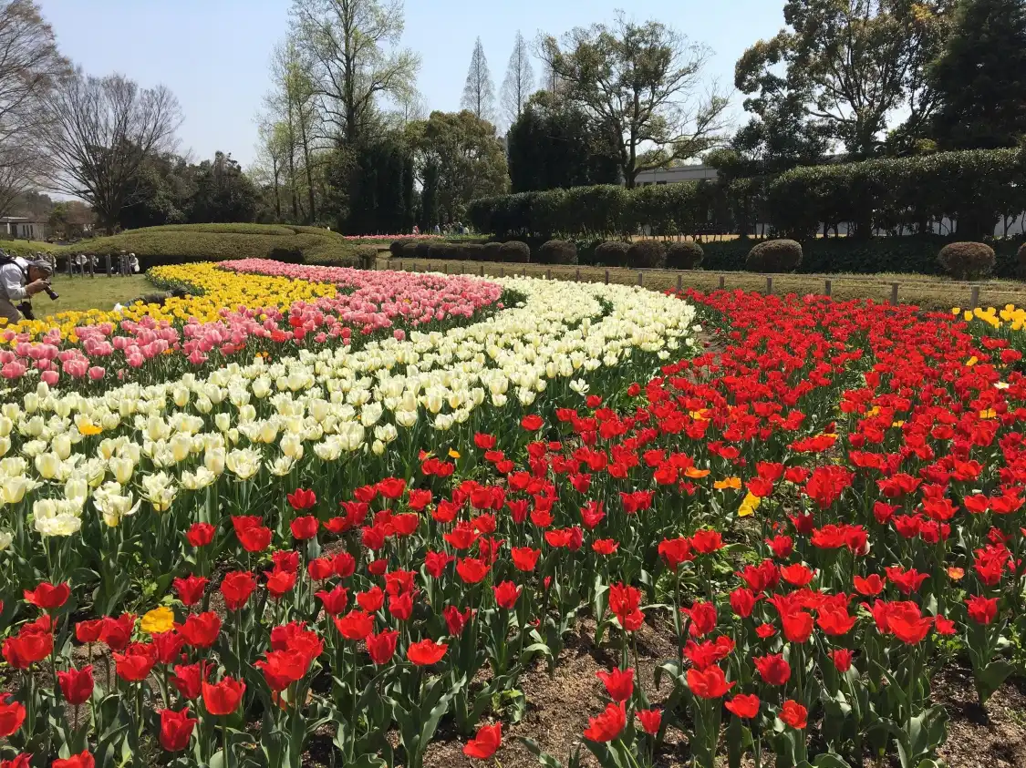Hotels near Hyogo Prefectural Flower Center