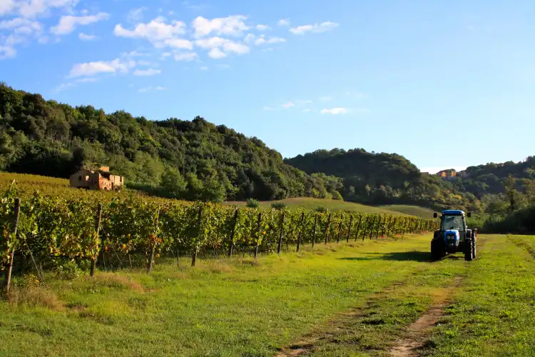 Hotels in Casciana Terme Lari