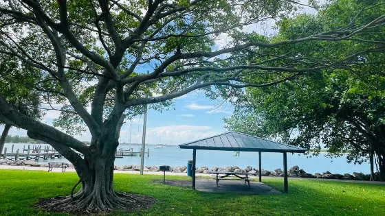 Museum Pointe Park