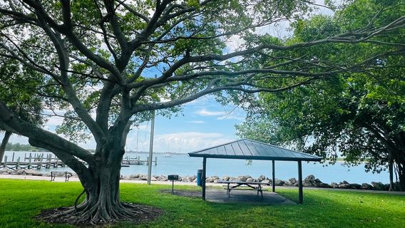 Museum Pointe Park