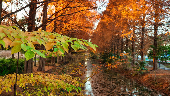 Kazo Hanasaki Water Park