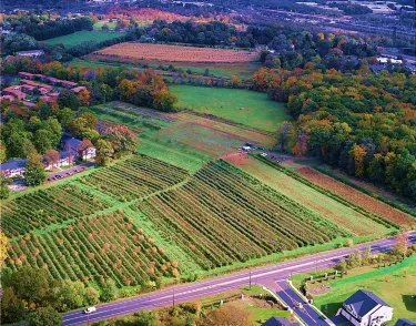 Falls Township