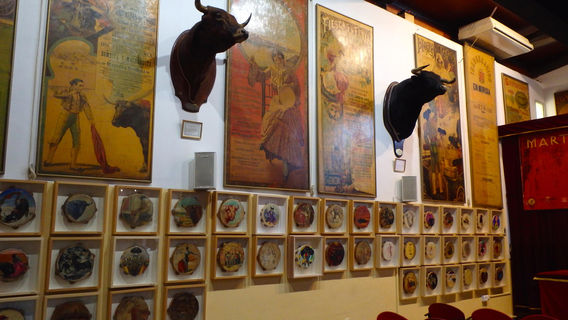 Bull Fighting Museum
