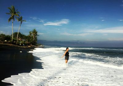 Saba Beach