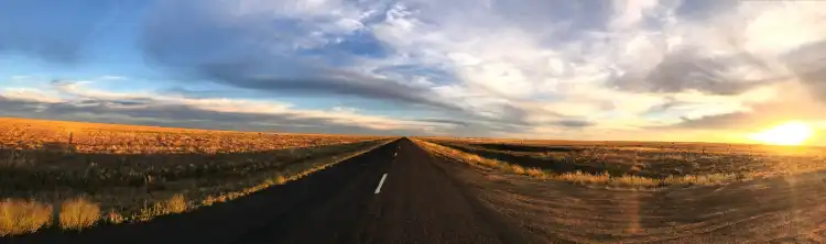 Hay