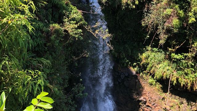 Hanawi Falls