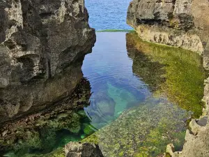Angel's Billabong