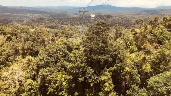 Kuranda National Park