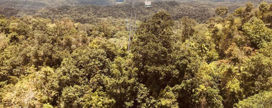 Kuranda National Park