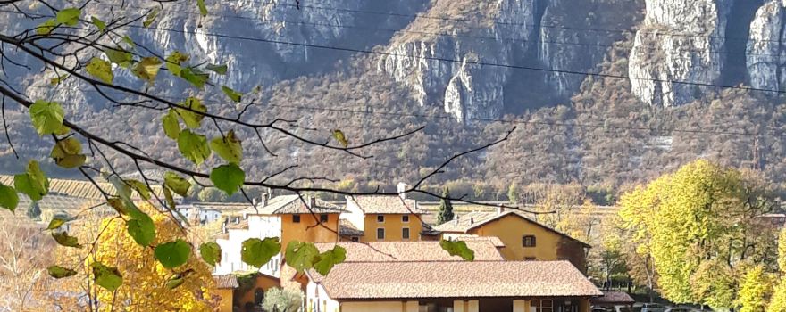 Tenuta San Leonardo