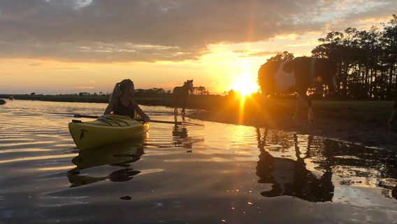 Assateague Adventures Pony Boat Tours and Kayak Tours