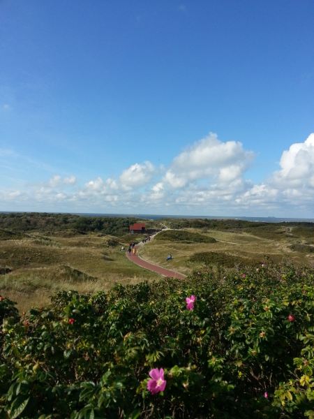 Flüge Frankfurt Langeoog
