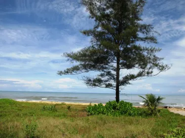 Serasa