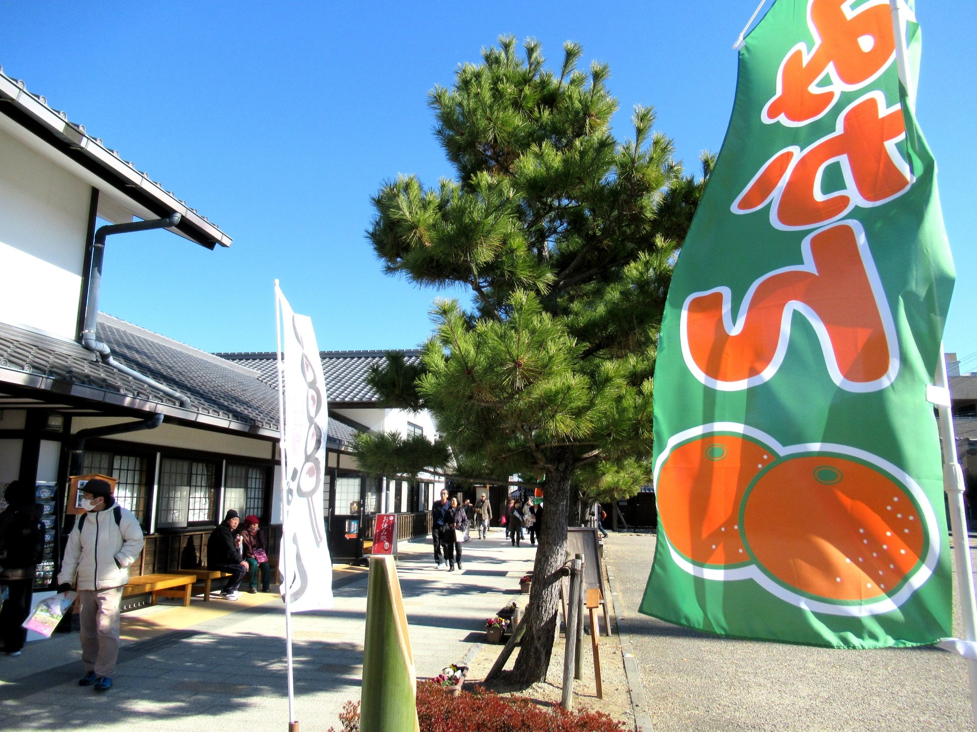 2025 Hamamatsu Travel Guide: Must-see attractions, popular food, hotels, transportation routes (updated in August)