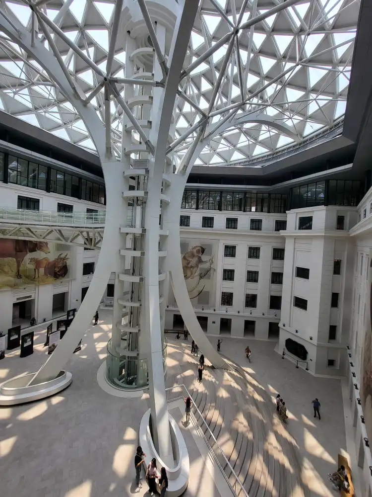 Hotels near National Museum of Natural History
