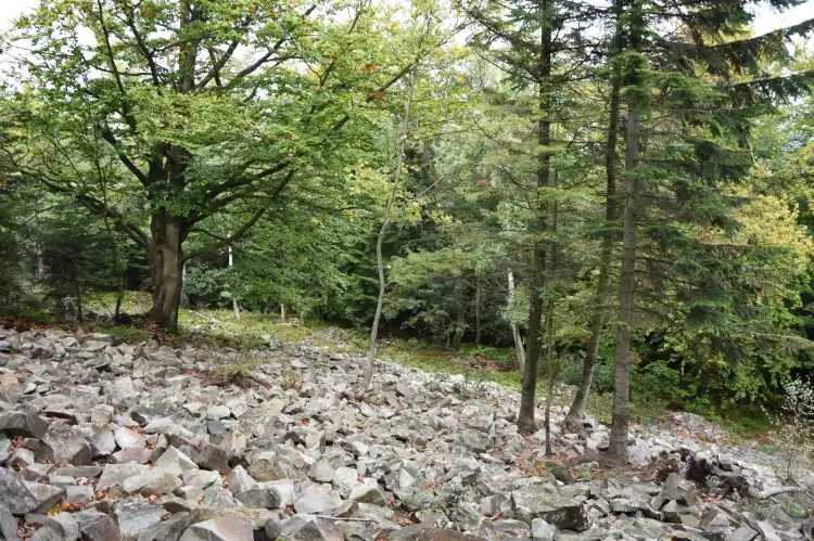 Hôtels à : Wasniow