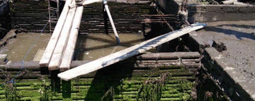 Art Padepokan Jaranan "Nogo turonggo Bhirowo"