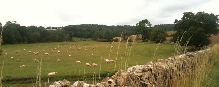 Stowell Park
