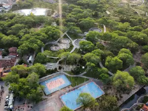 Bamboo Park