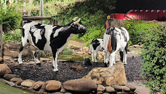 Sevierville