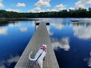 Muskegon KOA