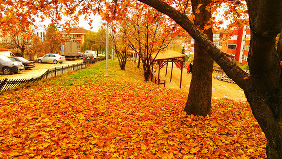 Safranbolu Central Park