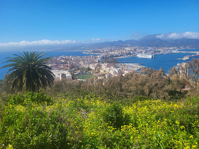 Park San Amaro