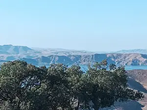 Musa Anter Parkı