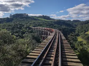 Viaduto Mula Preta