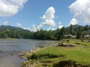 Batang Asai