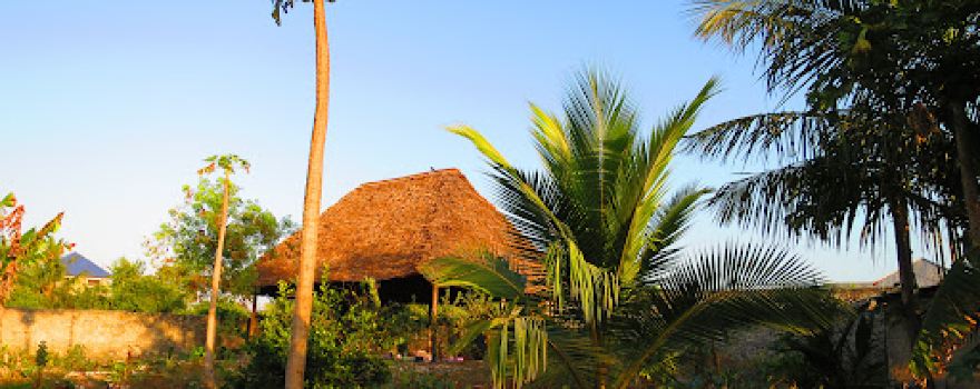Yoga&Gym Zanzibar