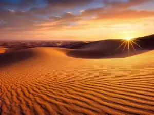 Desert Bivouac
