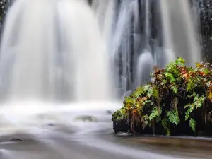 Forsakar Waterfall Lookout