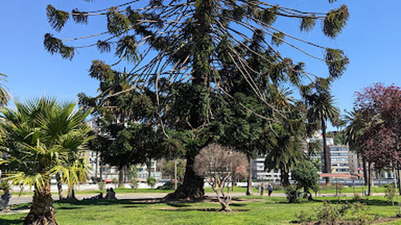 Viña del Mar