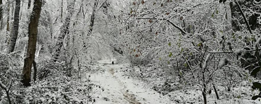 Roman River Valley