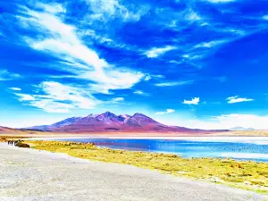SKYLINE TRAVELLER UYUNI (Salt flats tours Uyuni)