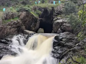 The Blowhole